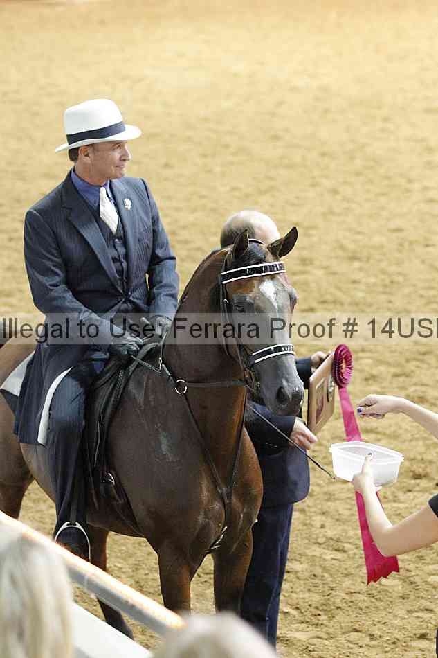 Proof 14usn_11411