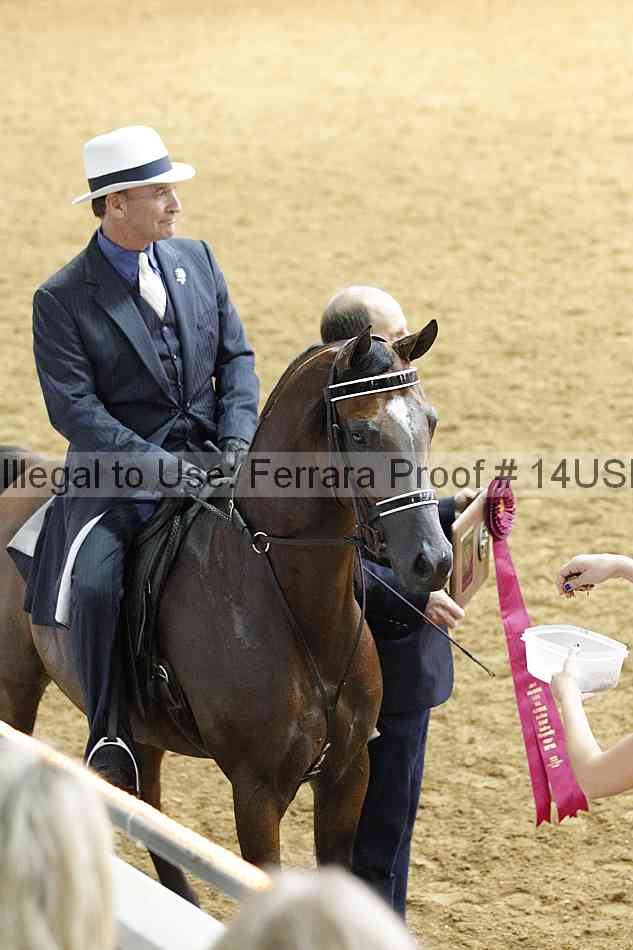Proof 14usn_11412