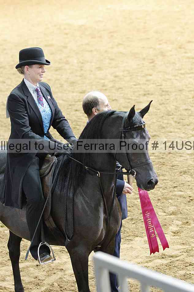 Proof 14usn_11423