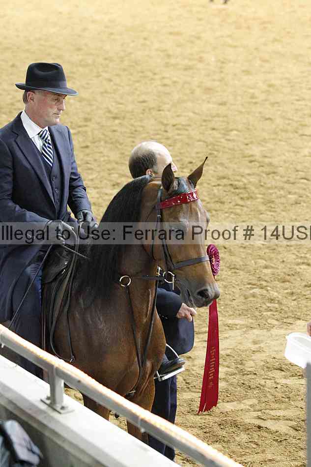 Proof 14usn_11426