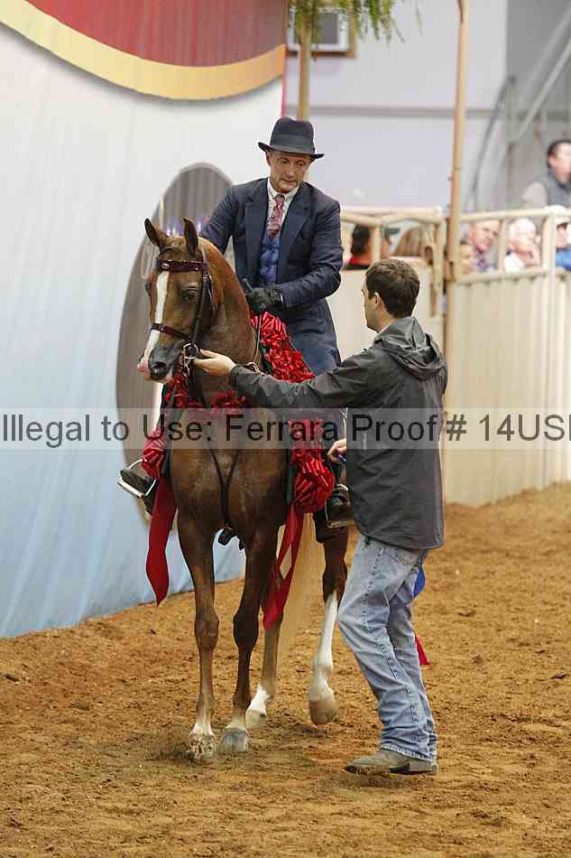 Proof 14usn_11443