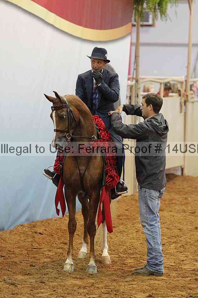Proof 14usn_11444
