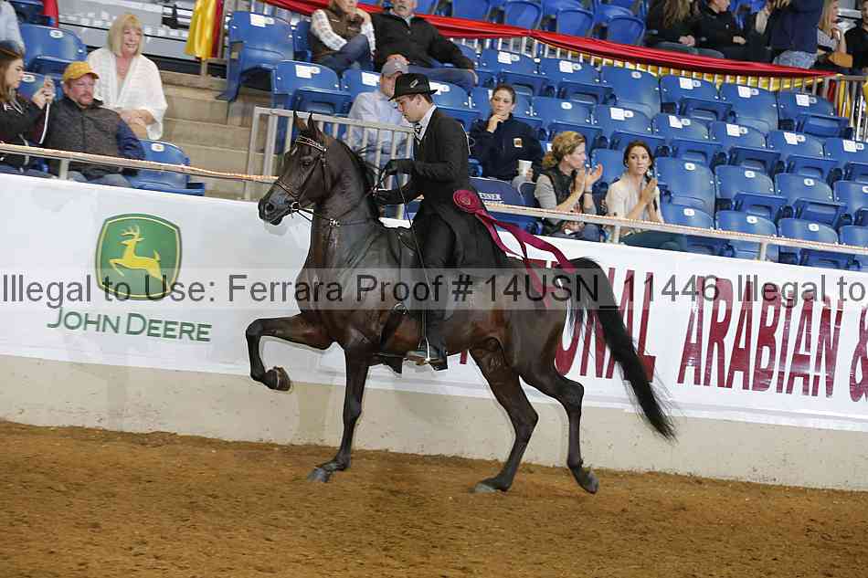 Proof 14usn_11446