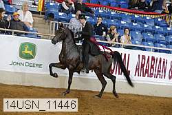 14usn_11446 proof