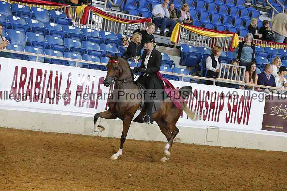 Proof 14usn_11449