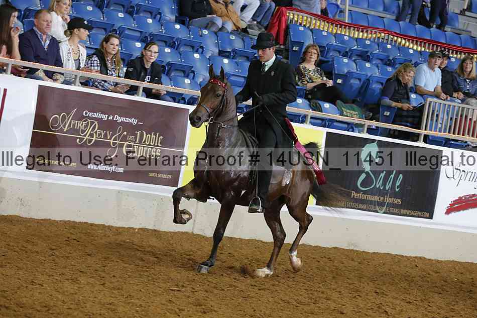 Proof 14usn_11451