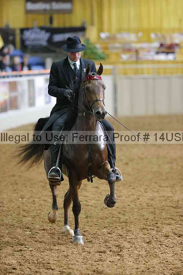 Proof 14usn_11452