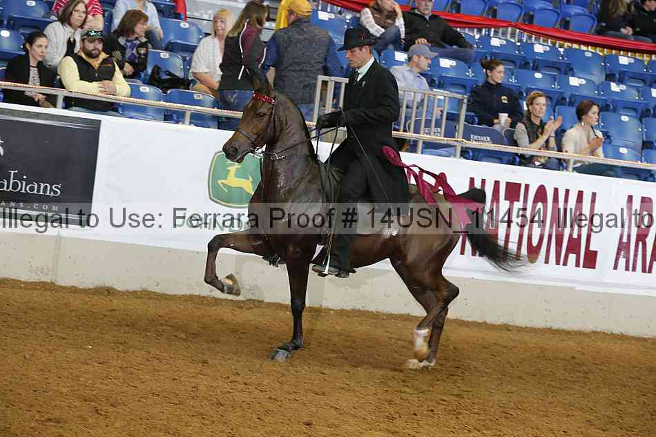 Proof 14usn_11454