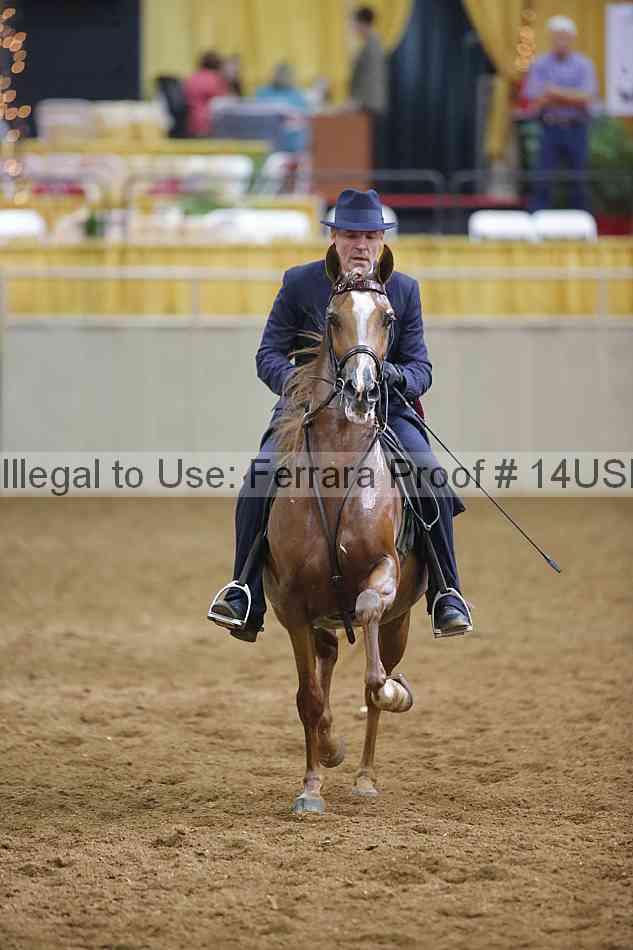 Proof 14usn_11455