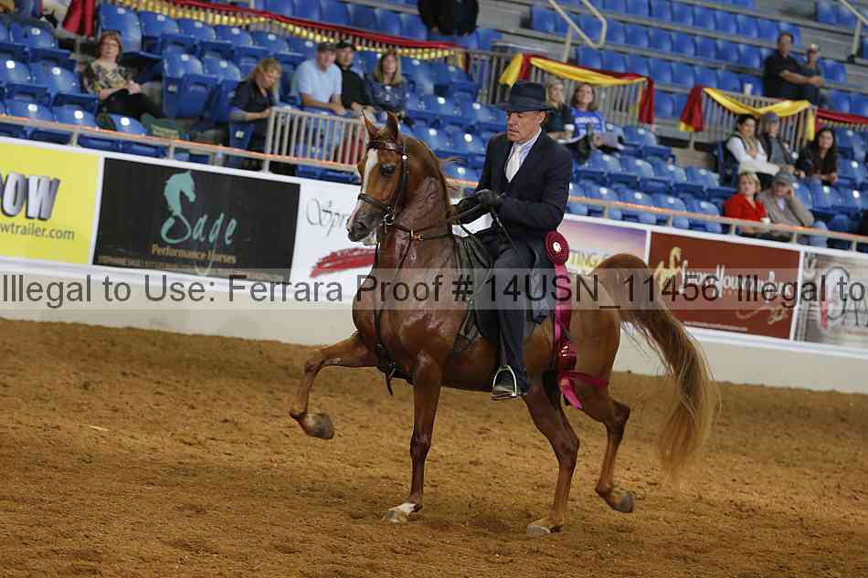 Proof 14usn_11456
