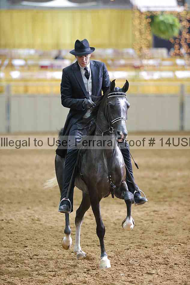 Proof 14usn_11460