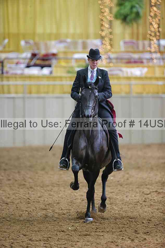 Proof 14usn_11479