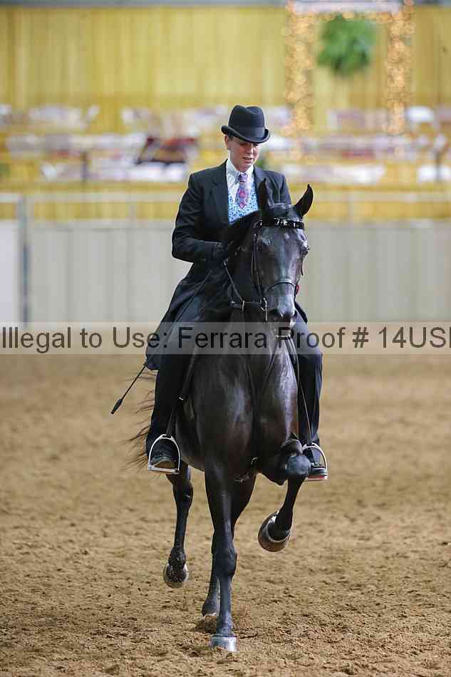 Proof 14usn_11480