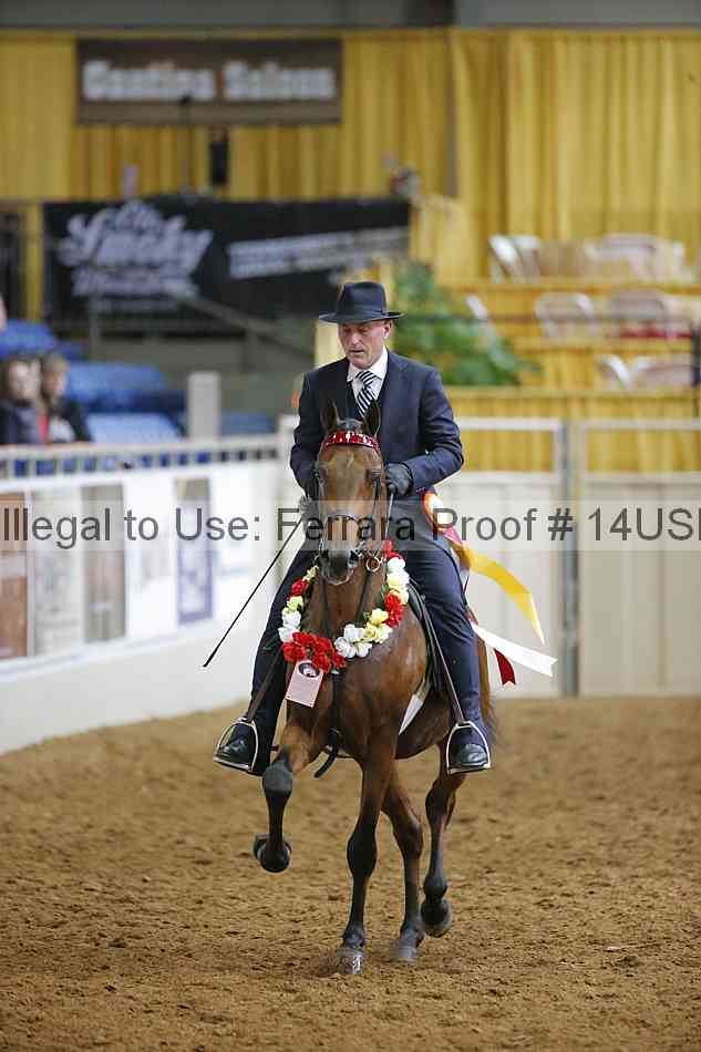 Proof 14usn_11490