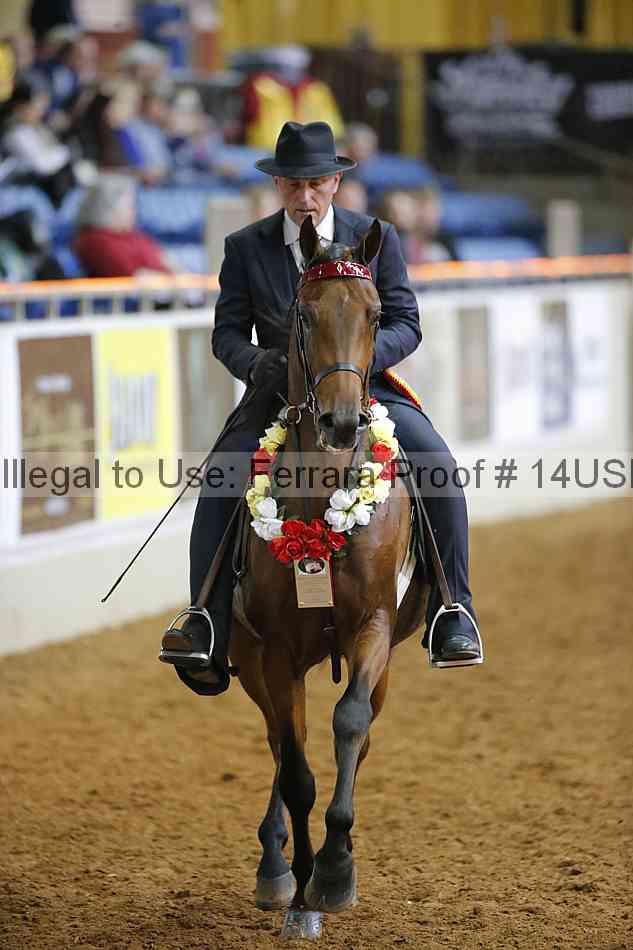 Proof 14usn_11491