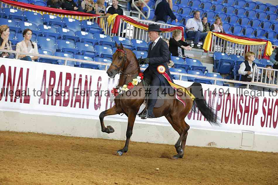 Proof 14usn_11494