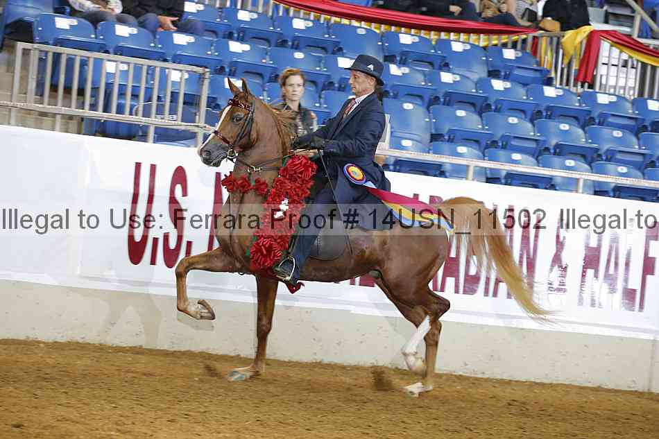 Proof 14usn_11502