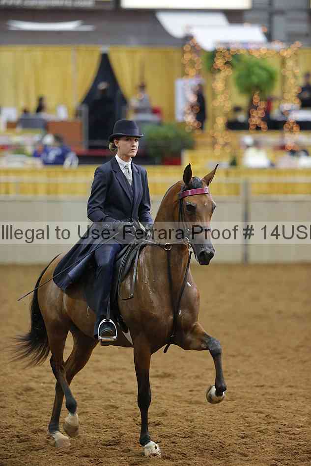 Proof 14usn_14845