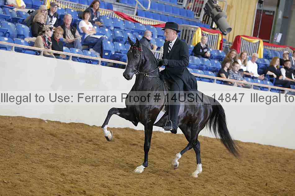 Proof 14usn_14847