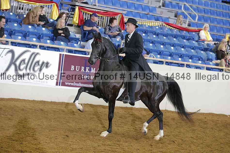 Proof 14usn_14848