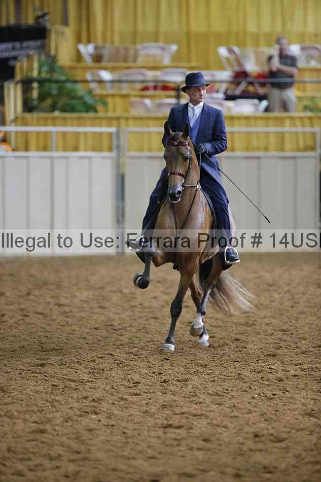 Proof 14usn_14863