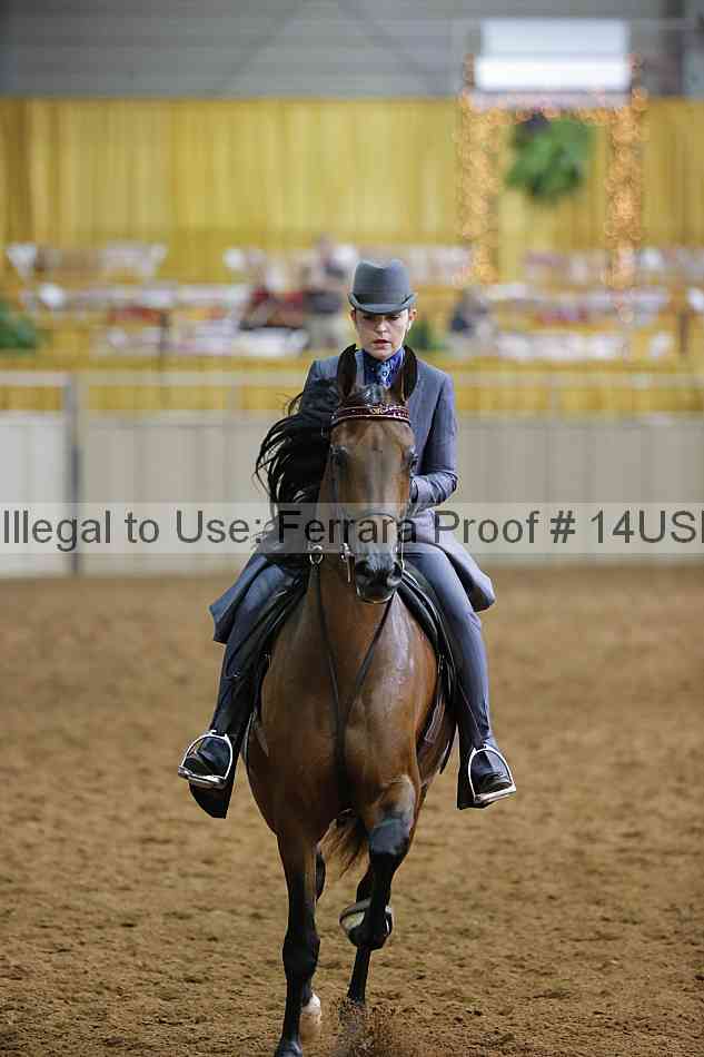 Proof 14usn_14865