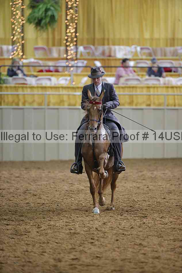 Proof 14usn_14869