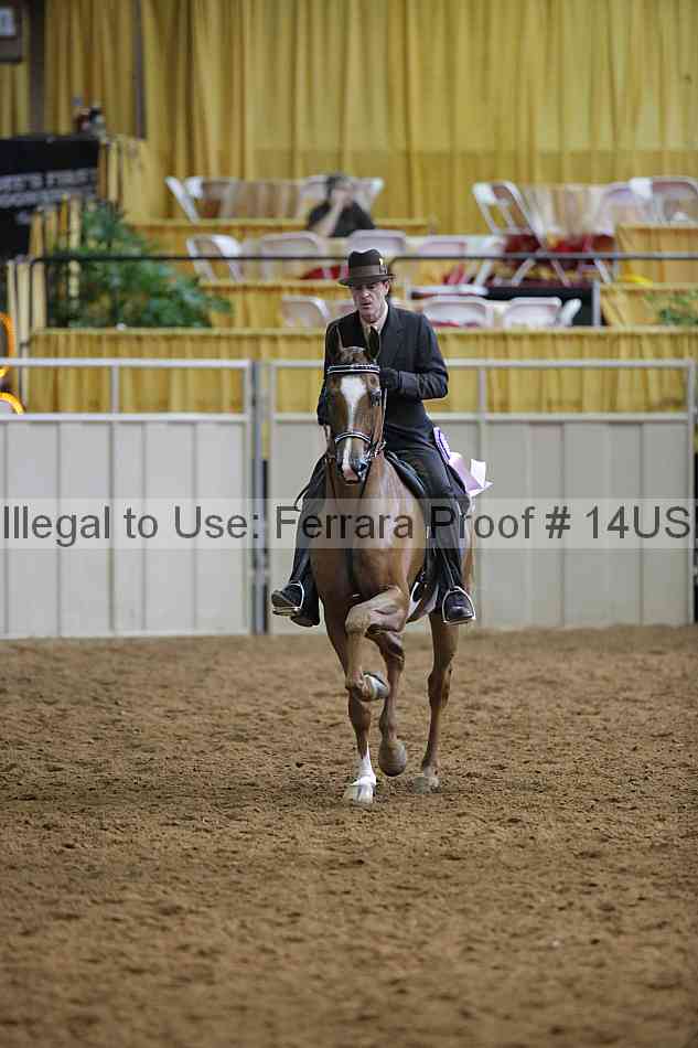 Proof 14usn_14875