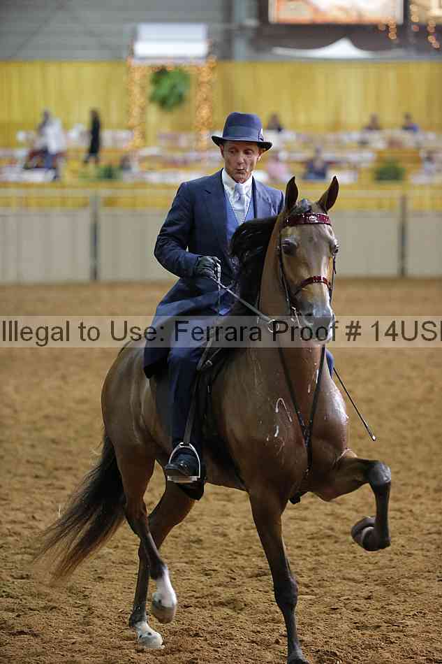 Proof 14usn_14885