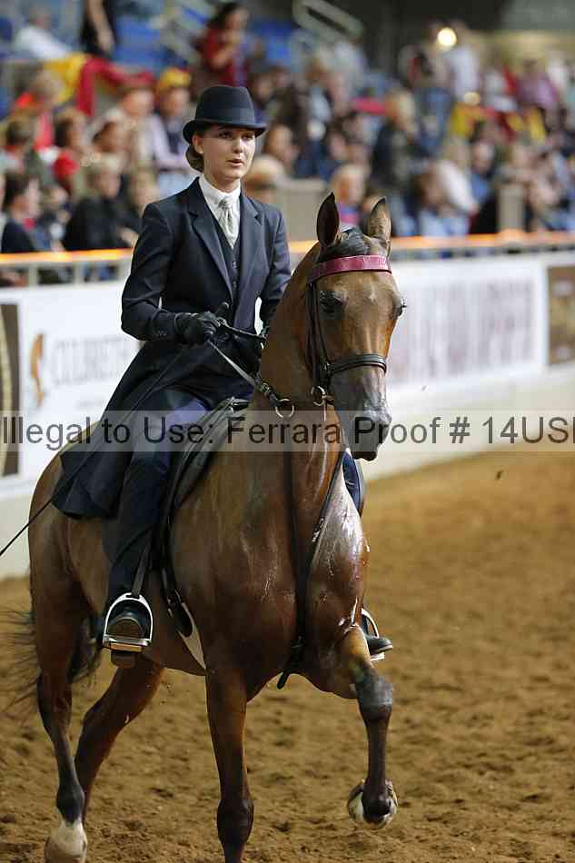 Proof 14usn_14891