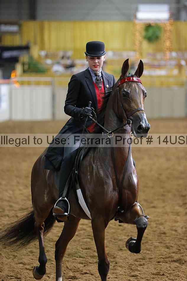 Proof 14usn_14897