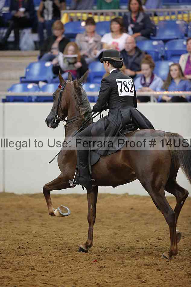 Proof 14usn_14919
