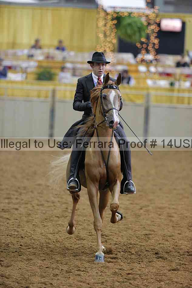 Proof 14usn_14923