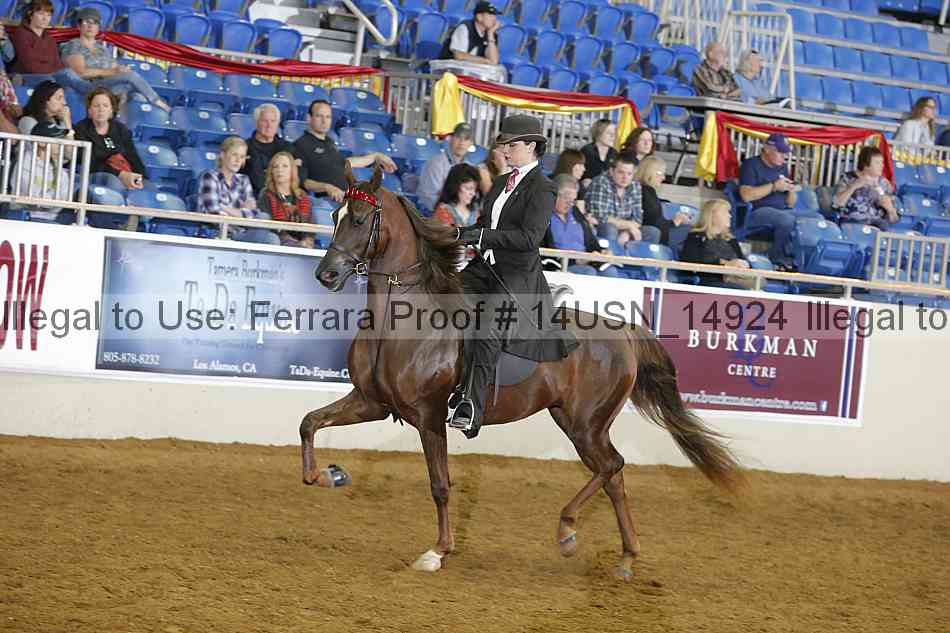 Proof 14usn_14924