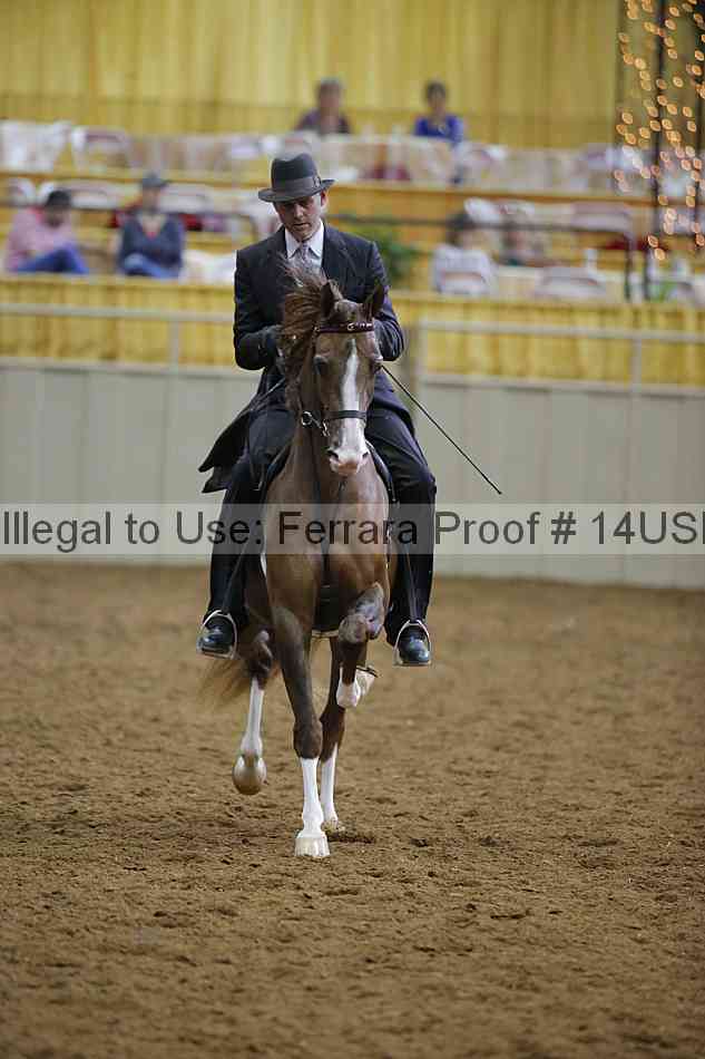 Proof 14usn_14927