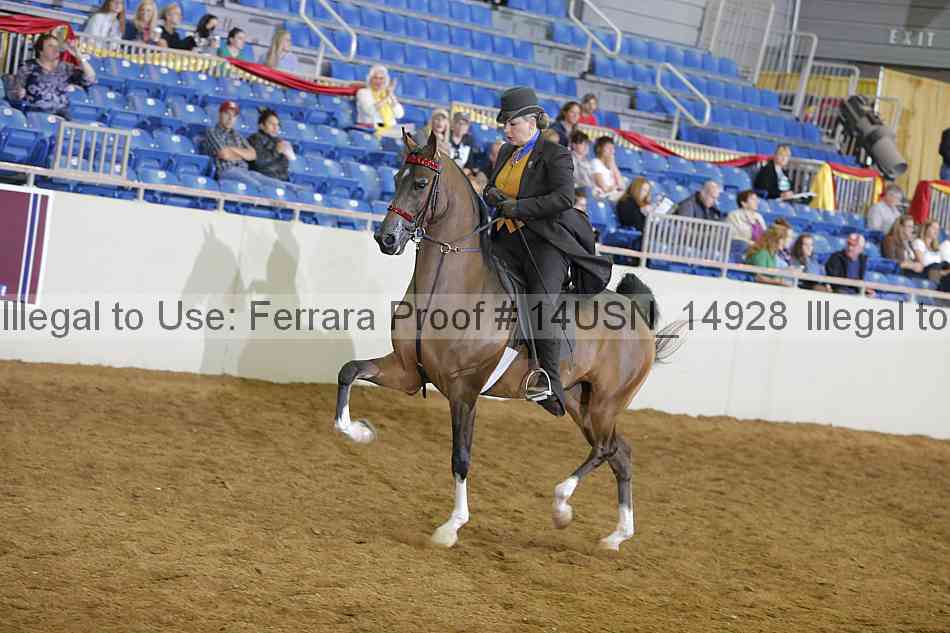 Proof 14usn_14928