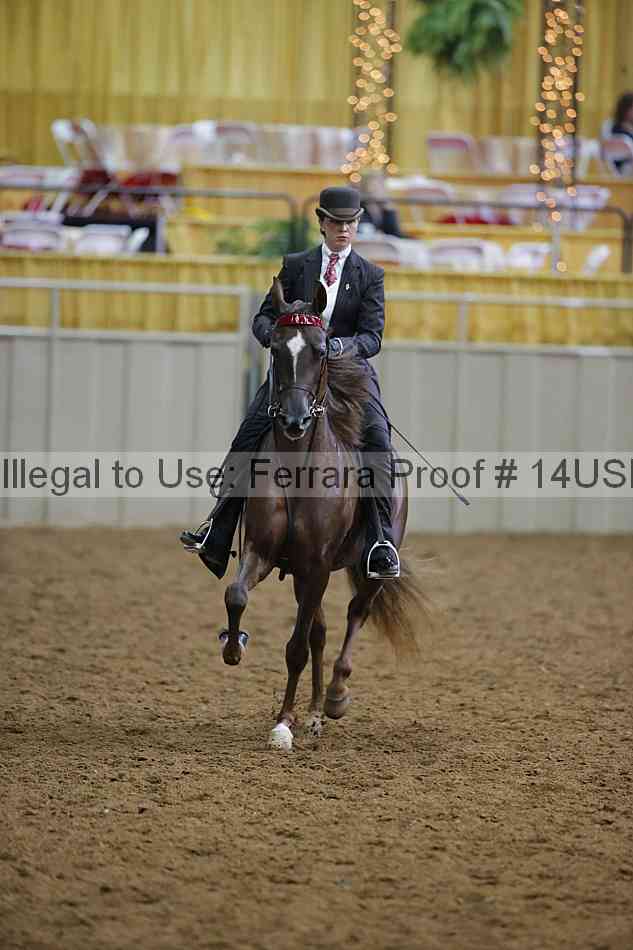 Proof 14usn_14933