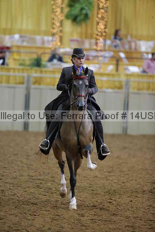 Proof 14usn_14939