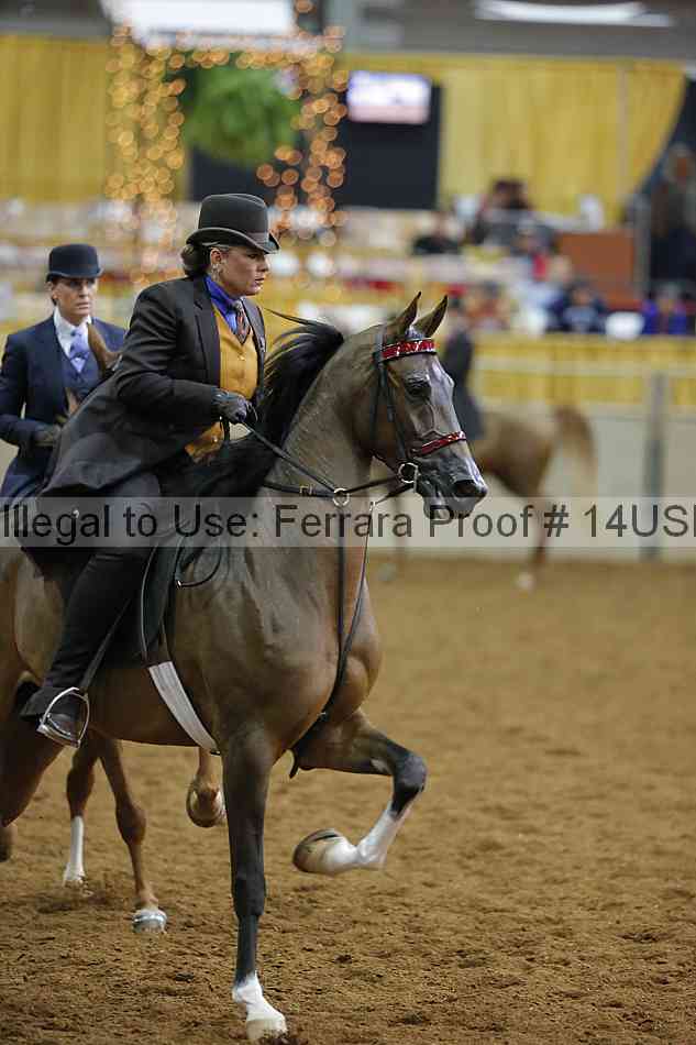 Proof 14usn_14940