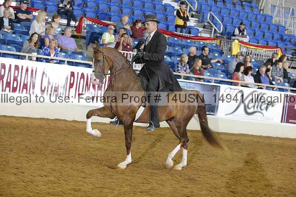 Proof 14usn_14941