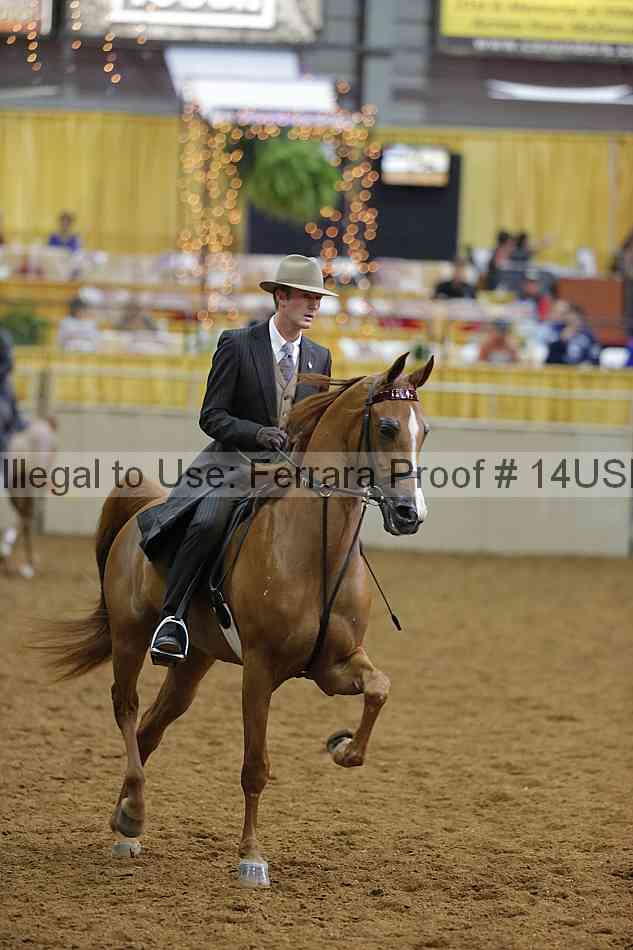 Proof 14usn_14943