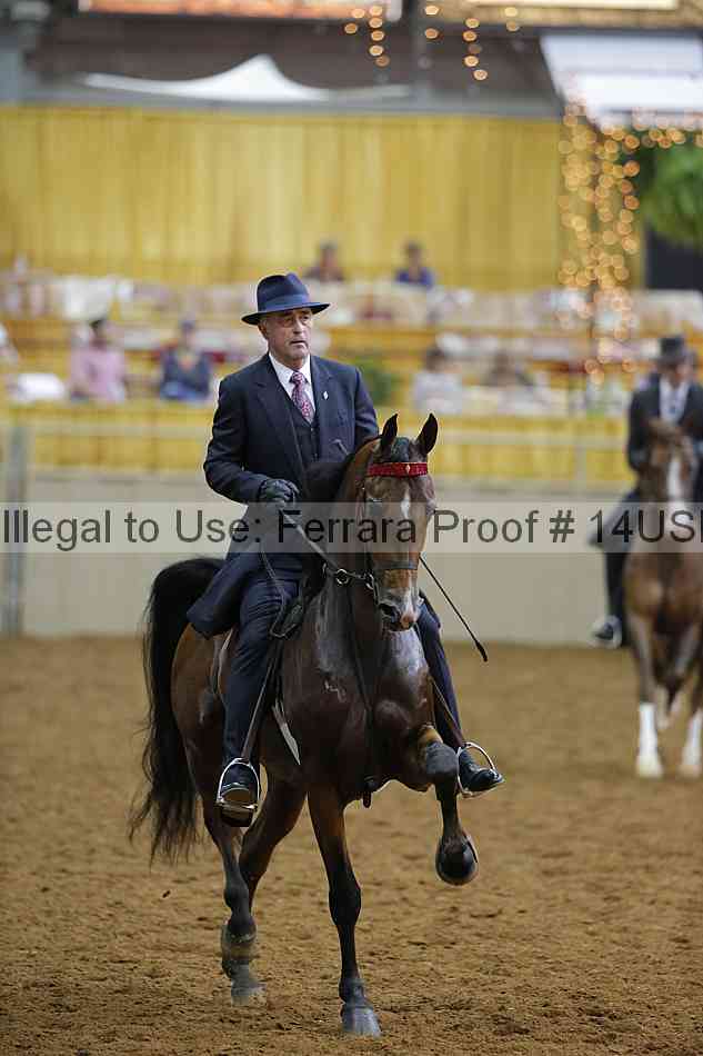 Proof 14usn_14945