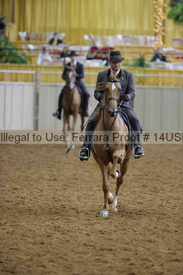 Proof 14usn_14946