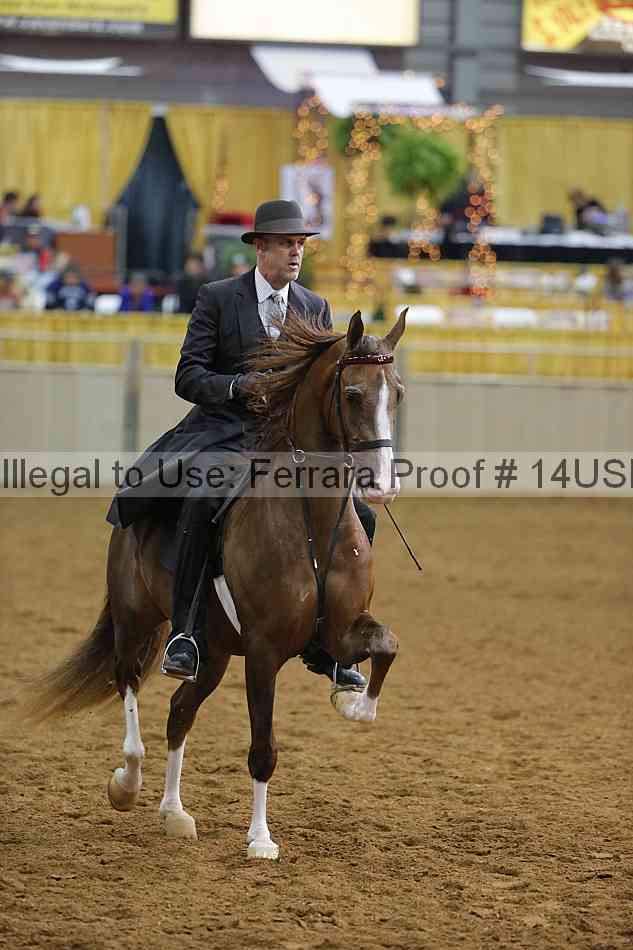 Proof 14usn_14948