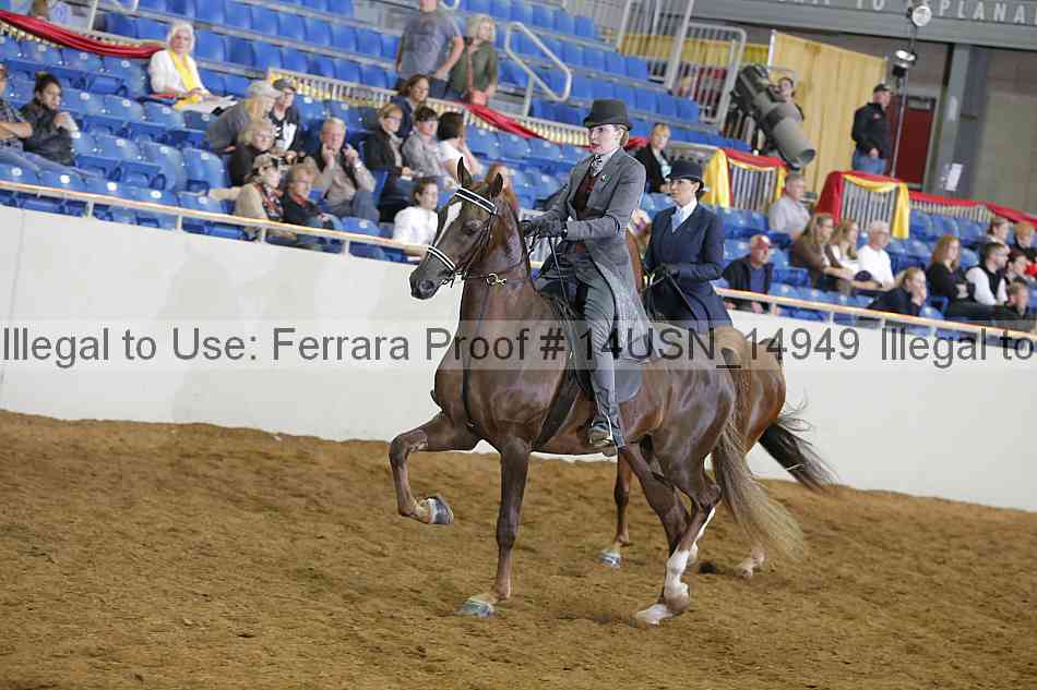 Proof 14usn_14949