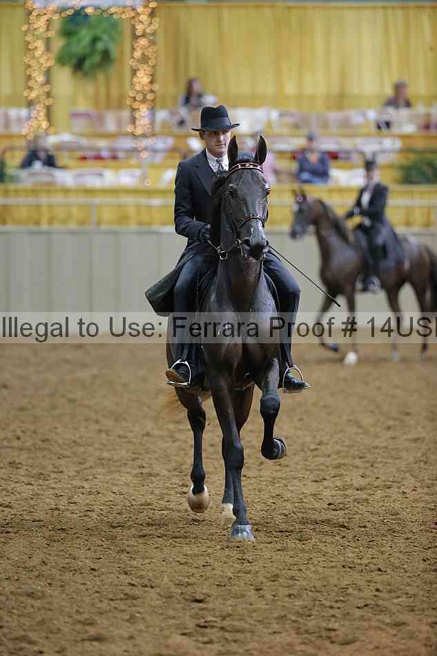 Proof 14usn_14951