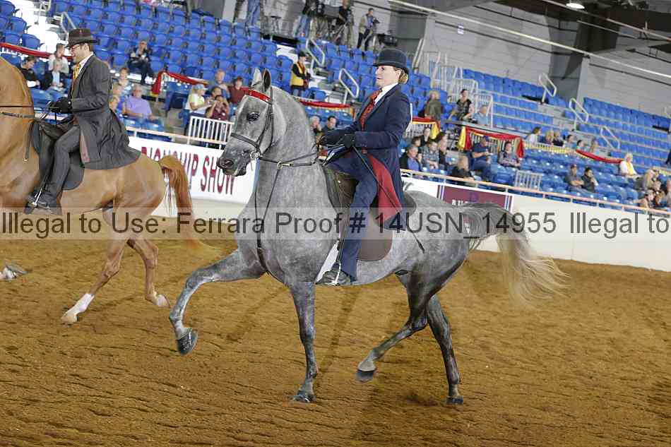 Proof 14usn_14955