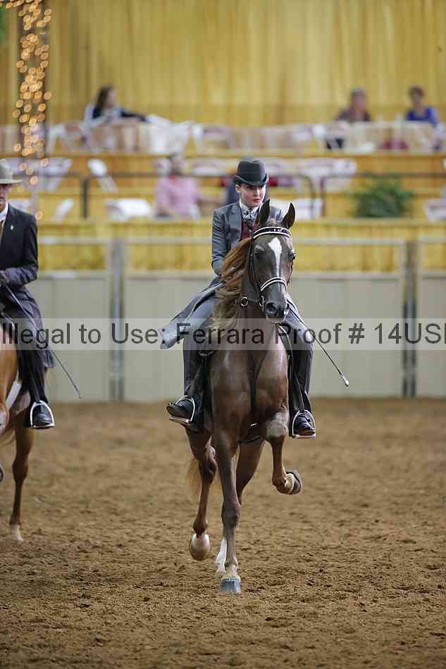 Proof 14usn_14956