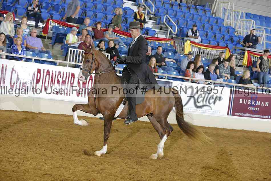 Proof 14usn_14957