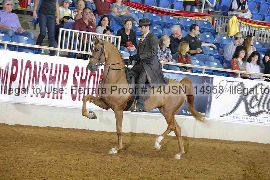 Proof 14usn_14958
